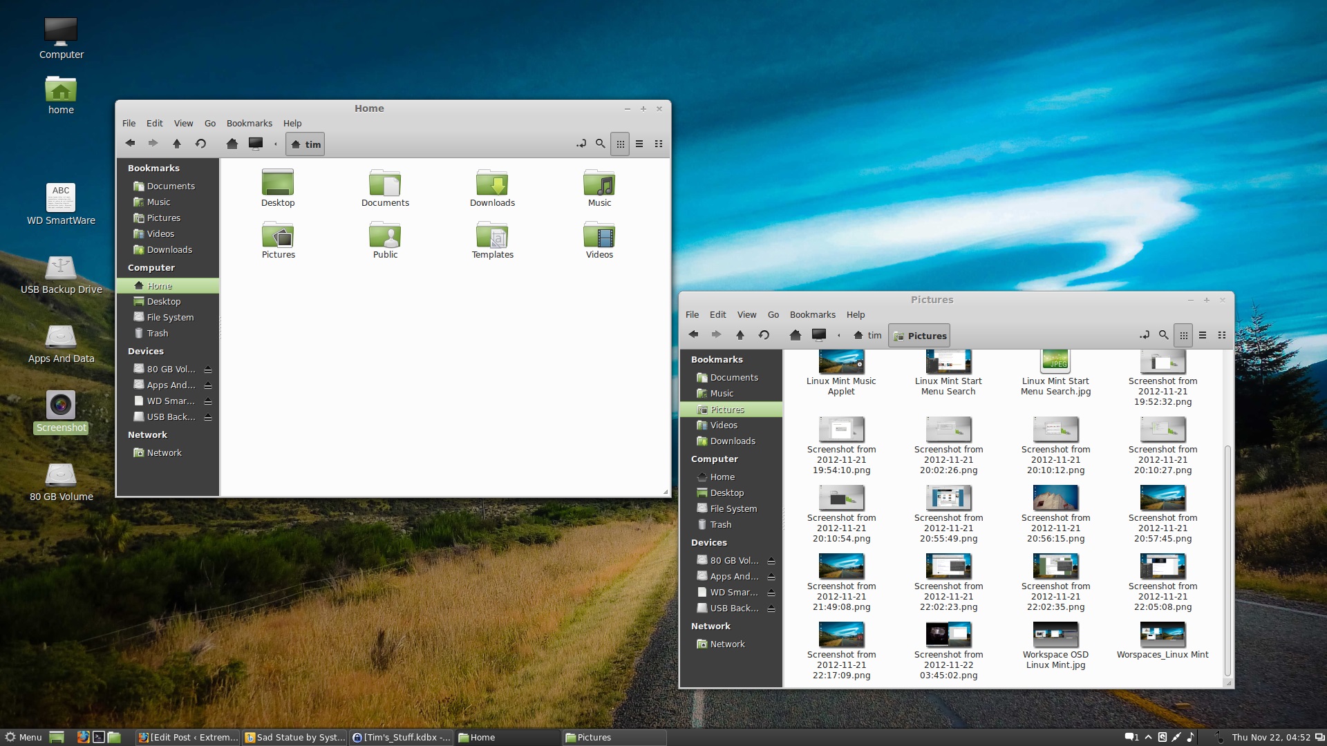 Domyślna kolorystyka okien w systemie Linux Mint.